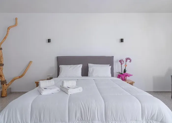 Sonia 公寓 Mykonos Town